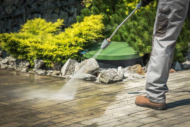 Boat and Dock Cleaning in Montour Falls, NY