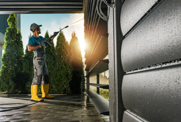 Best Solar Panel Cleaning  in Montour Falls, NY